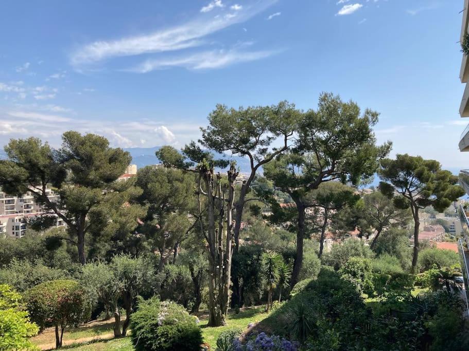 Appartement Terrasse , , La Piscine Nice